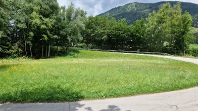 Immobilie kaufen in Liezen – 2 485 m², € 49.700 – Bild 2 von 3