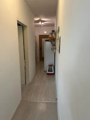 2-Zimmer-Wohnung mieten in Baden – 35 m², € 495 – Bild 5 von 10