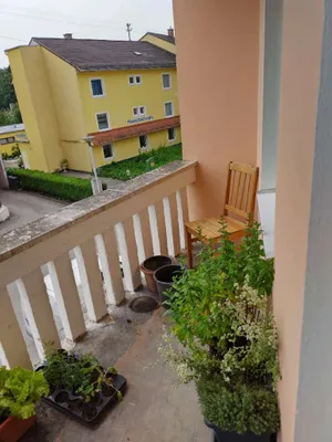 1-Zimmer-Wohnung mieten in Grieskirchen – 22 m², € 470 – Bild 9 von 11