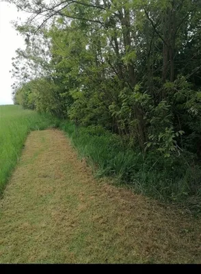 Immobilie kaufen in Mistelbach – 85 m², € 39.900 – Bild 6 von 6