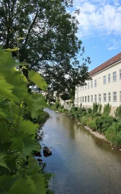 Immobilie mieten in Baden – 542 m² – Bild 7 von 9
