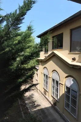 Immobilie mieten in Baden – 542 m² – Bild 8 von 9