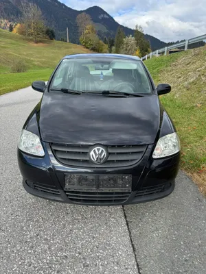 VW Fox