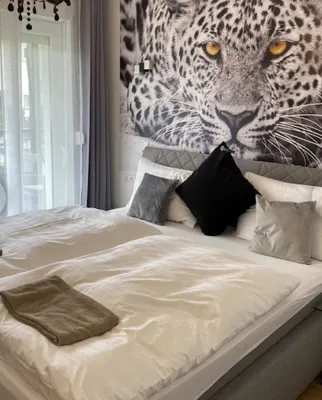 10-Zimmer-Wohnung mieten in Villach Land – 20 m², € 500 – Bild 15 von 15