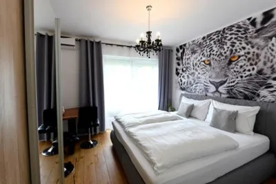 10-Zimmer-Wohnung mieten in Villach Land – 20 m², € 500 – Bild 14 von 15