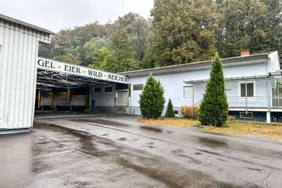 Gewerbeimmobilie mieten in Südoststeiermark – 3 327 m² – Bild 3 von 39