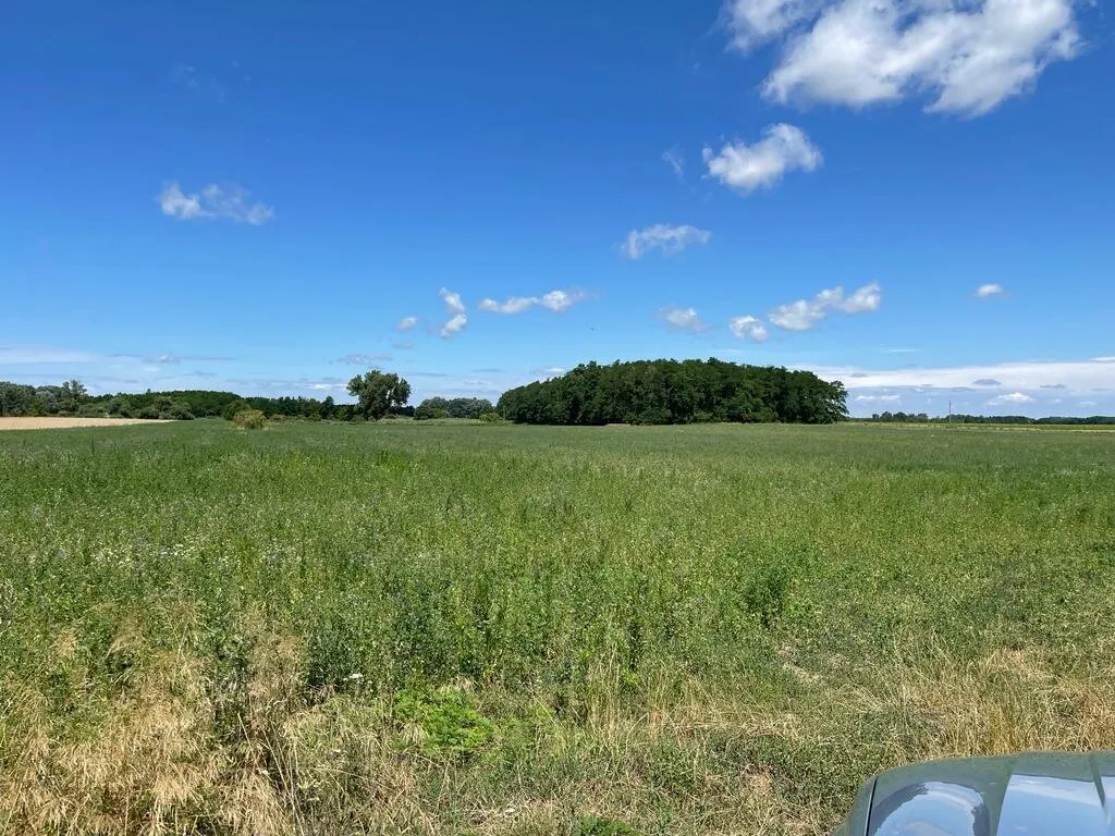 Für PV-Zwecke geeignete Grundstücke stehen im Raum Győr zum Verkauf