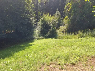 Grundstück kaufen in Weiz – 6 010 m², € 20.000 – Bild 2 von 3