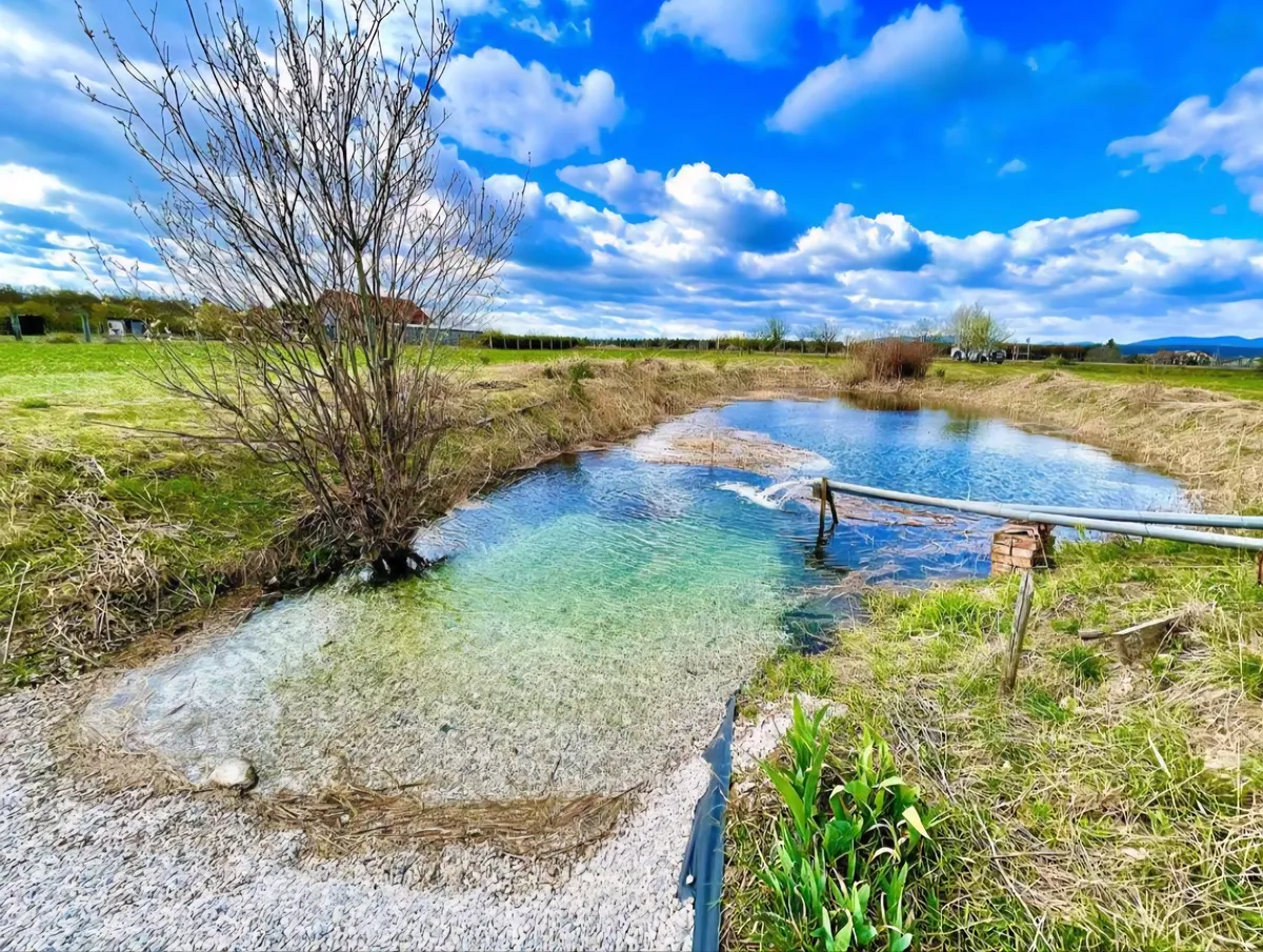 Gründlandgrundstück mit großem Teich - Ansicht 2