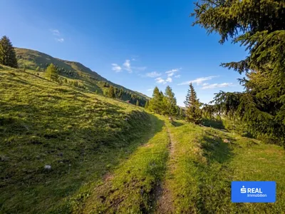 Immobilie kaufen in Lienz – 43 m², € 250.000 – Bild 3 von 4