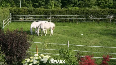 Haus kaufen in Gmunden – 170 m², € 890.000 – Bild 2 von 5