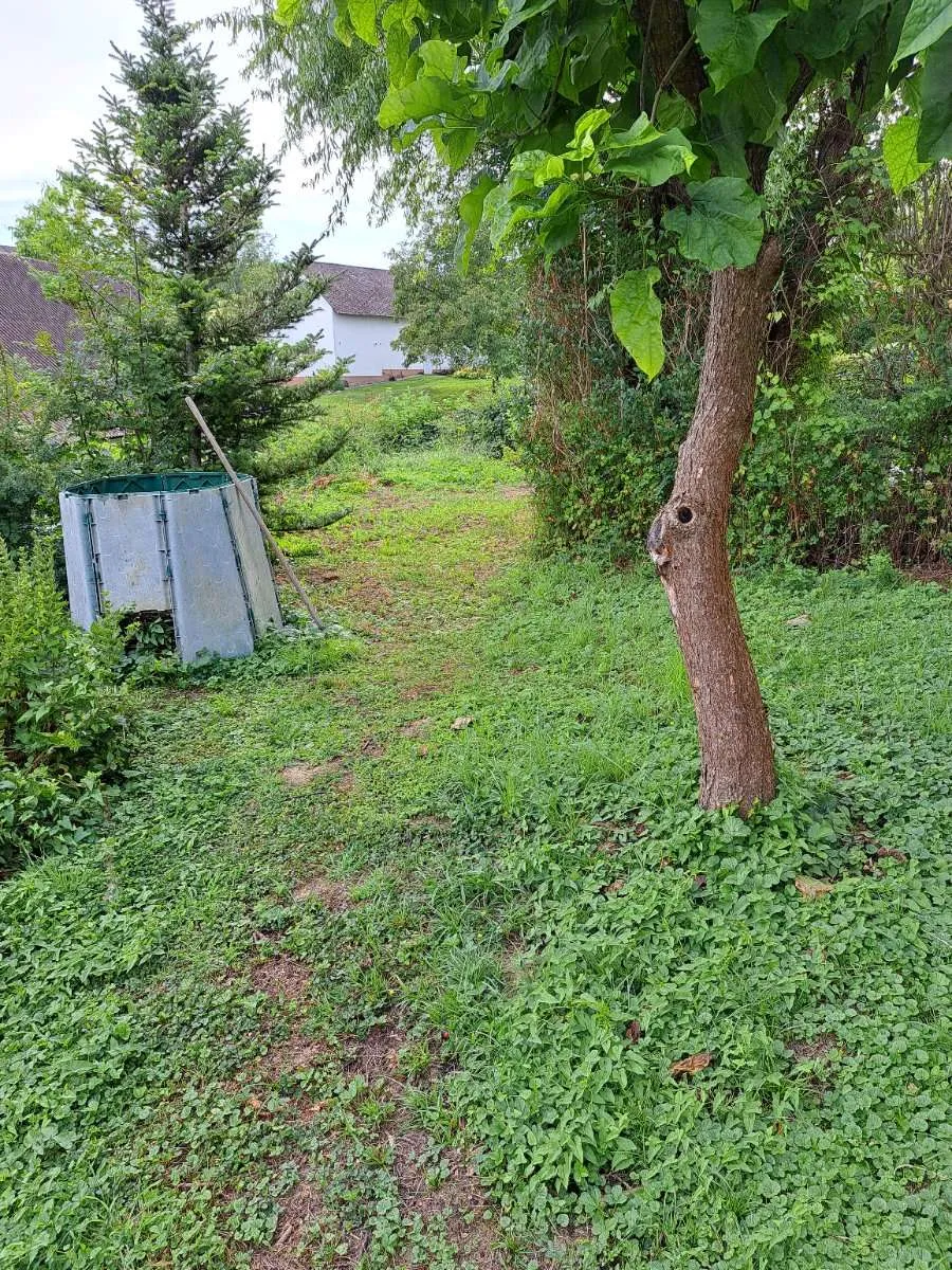 Haus – Mettersdorf am Saßbach, Bezirk Südoststeiermark - Ansicht 2
