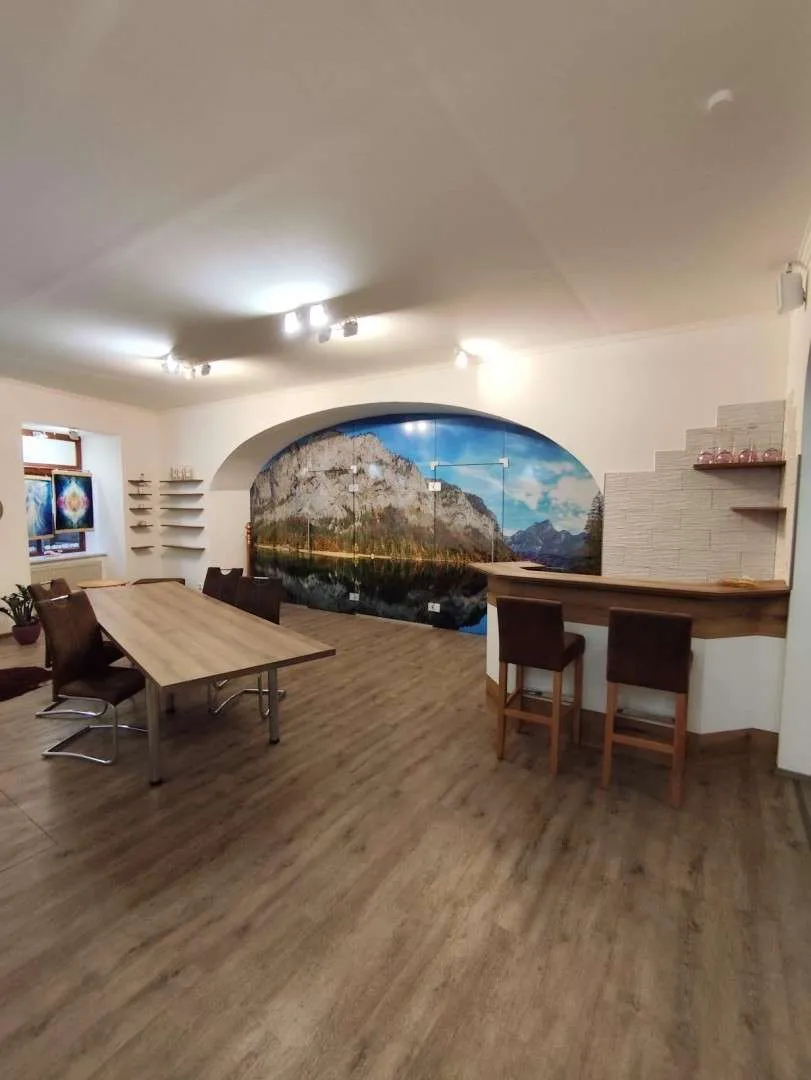Geschäftslokal / Büroräumlichkeiten / Präsentationsraum / Trofaiach / möbliert/ Zentrum/ IMS IMMOBILIEN KG - Ansicht 2
