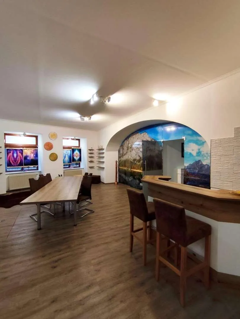 Geschäftslokal / Büroräumlichkeiten / Präsentationsraum / Trofaiach / möbliert/ Zentrum/ IMS IMMOBILIEN KG - Ansicht 3