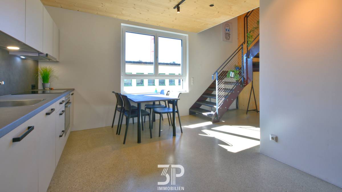LINZ Zentrum: Dachgeschosswohnung mit Dachterrasse und Eigengarten - Ansicht 2