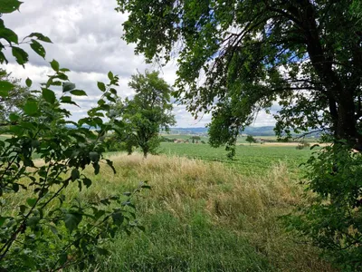 Immobilie kaufen in Sankt Pölten Land – 100 m², € 295.000 – Bild 19 von 21