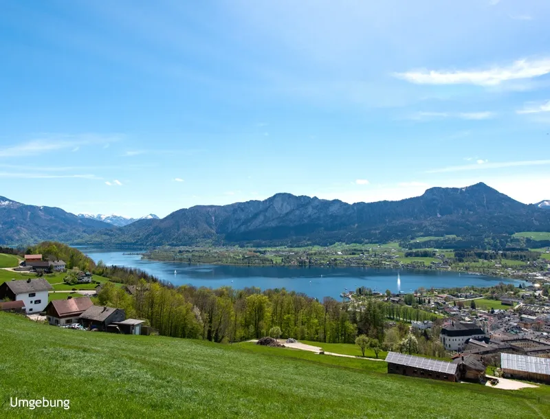 Apartment in Mondsee, Schlößl - Ansicht 3