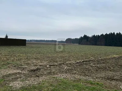 Grundstück kaufen in Leibnitz – 1 036 m²