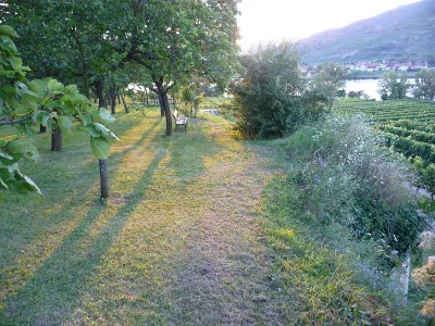 Immobilie kaufen in Krems an der Donau – 1 964 m² – Bild 1 von 8