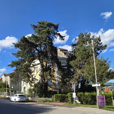 Immobilie kaufen in Linz – 403 m², € 2.300.000 – Bild 2 von 3