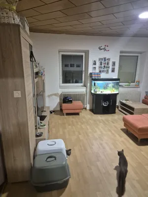 7-Zimmer-Haus mieten in Waidhofen an der Thaya – 160 m², € 900 – Bild 21 von 21