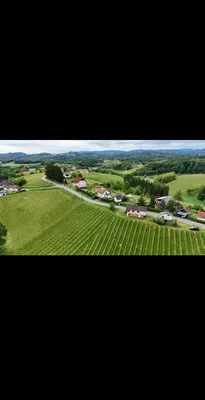 Immobilie mieten in Leibnitz – 9 500 m² – Bild 1 von 2