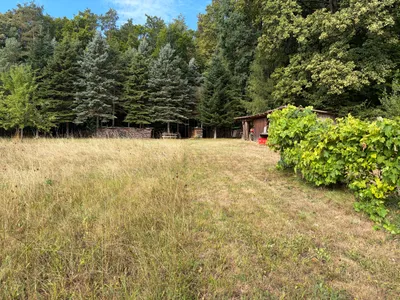 7-Zimmer-Gewerbeimmobilie kaufen in Hartberg-Fürstenfeld – 238 m², € 595.000 – Bild 30 von 37