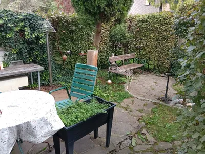 1-Zimmer-Wohnung mieten in Salzburg Stadt – 20 m², € 570 – Bild 2 von 13