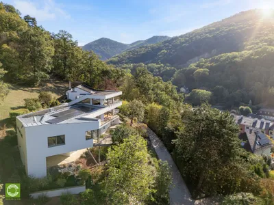 7-Zimmer-Haus kaufen in Mödling – 720 m², € 3.900.000 – Bild 4 von 36