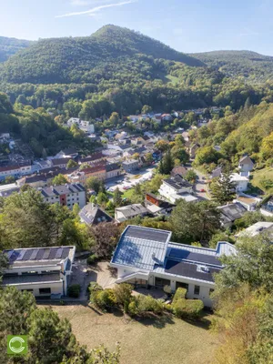 7-Zimmer-Haus kaufen in Mödling – 720 m², € 3.900.000 – Bild 6 von 36