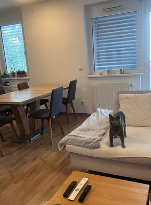 4-Zimmer-Wohnung mieten in Wiener Neustadt – 90 m², € 1.095 – Bild 4 von 22
