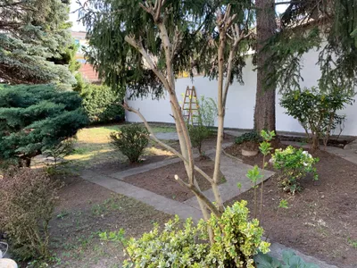 3-Zimmer-Wohnung mieten in Wien – 63 m², € 1.177 – Bild 7 von 8