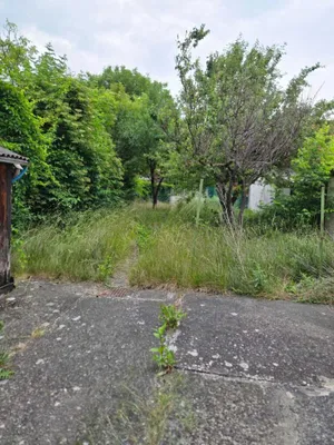 2-Zimmer-Haus kaufen in Mistelbach – 61 m², € 55.000 – Bild 14 von 17