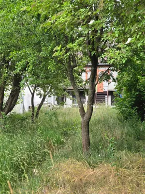 2-Zimmer-Haus kaufen in Mistelbach – 61 m², € 55.000 – Bild 15 von 17