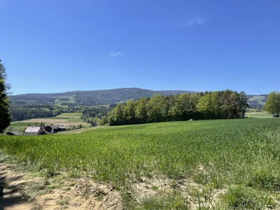 7-Zimmer-Haus kaufen in Hartberg-Fürstenfeld – 300,09 m², € 1.150.000 – Bild 88 von 95