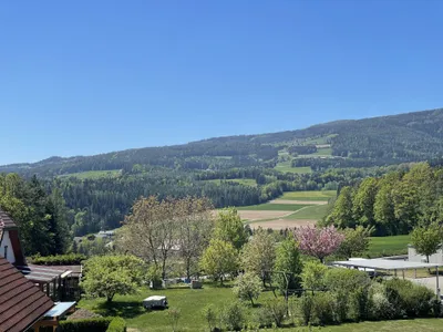 7-Zimmer-Haus kaufen in Hartberg-Fürstenfeld – 300,09 m², € 1.150.000 – Bild 82 von 95
