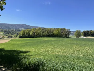 7-Zimmer-Haus kaufen in Hartberg-Fürstenfeld – 300,09 m², € 1.150.000 – Bild 87 von 95