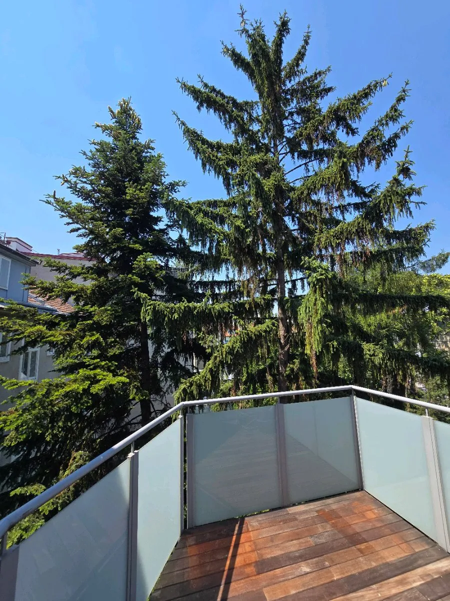 Wohnung – Wien - Ansicht 3