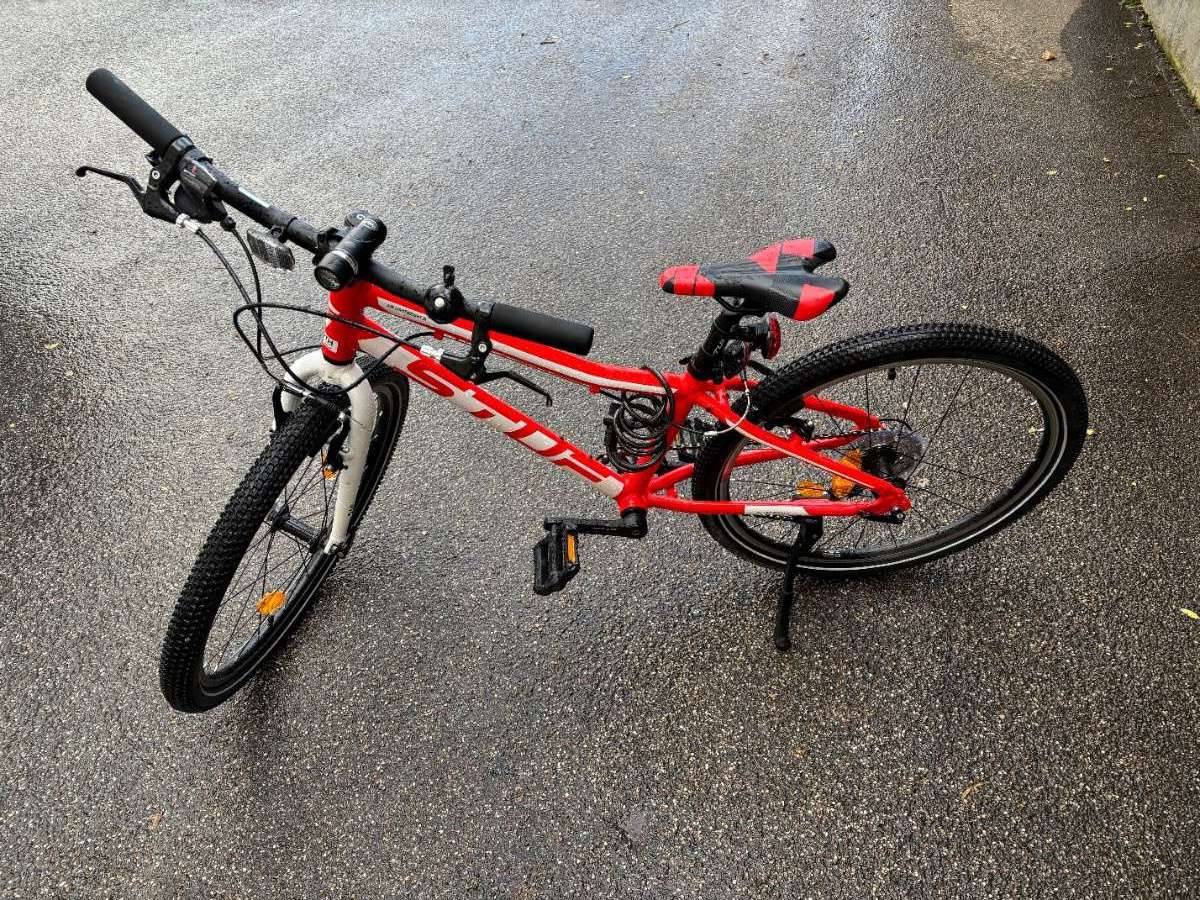 fahrradanhänger hund Hundeanhänger fürs Fahrrad: Leicht, Robust, Dynamisch – VEOLO main image 1