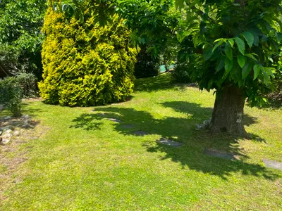 Haus kaufen in Spittal an der Drau – 196 m², € 560.000 – Bild 12 von 40