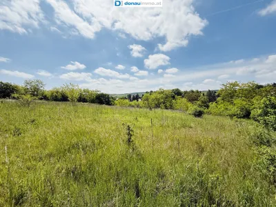 Grundstück kaufen in Hollabrunn – 4 723 m², € 149.000 – Bild 5 von 8