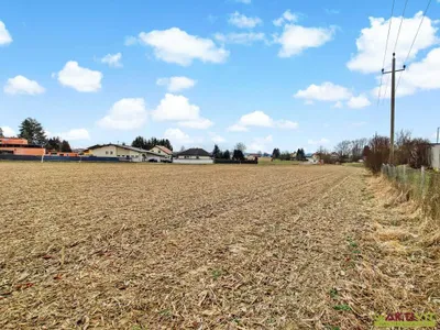 Immobilie mieten in Schärding – 6 494 m² – Bild 3 von 3