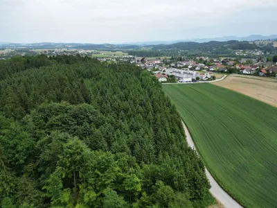 Grundstück kaufen in Scheibbs – 945 m², € 68.000 – Bild 4 von 8
