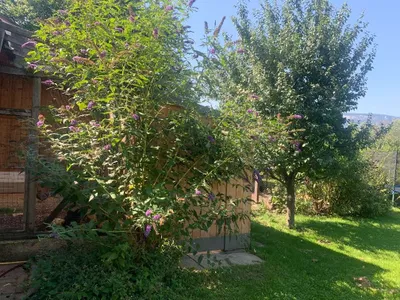 7-Zimmer-Haus kaufen in Neunkirchen – 200 m², € 449.000 – Bild 30 von 38