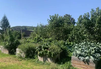 7-Zimmer-Haus kaufen in Neunkirchen – 200 m², € 449.000 – Bild 32 von 38
