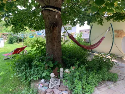 7-Zimmer-Haus kaufen in Neunkirchen – 200 m², € 449.000 – Bild 28 von 38