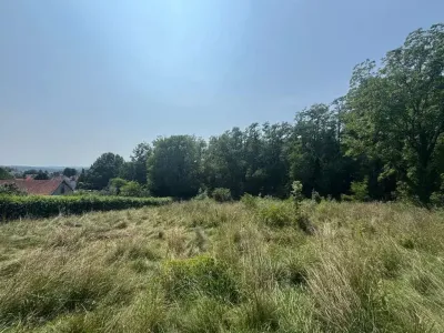 Grundstück kaufen in Hartberg-Fürstenfeld – 4 151 m², € 342.160 – Bild 9 von 14