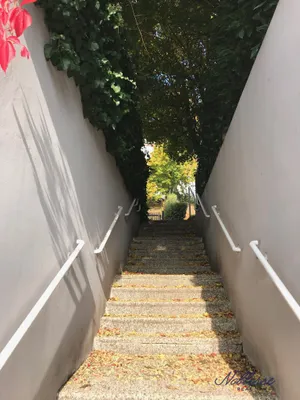 6-Zimmer-Haus mieten in Wien – 187 m², € 3.499 – Bild 21 von 24