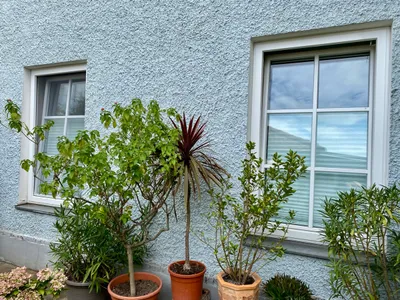 2-Zimmer-Wohnung mieten in Graz – 50 m², € 685 – Bild 10 von 10
