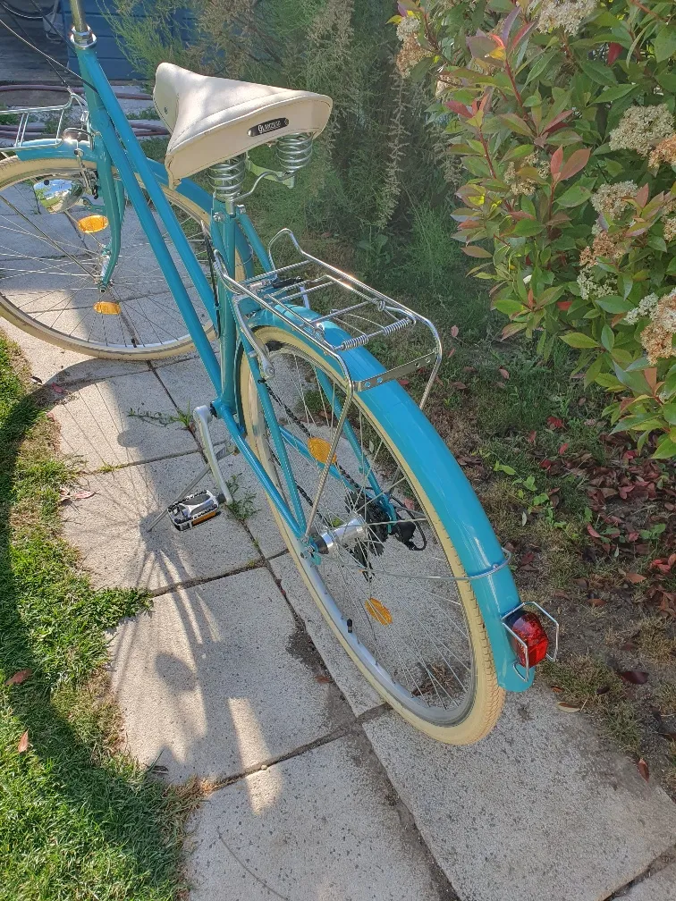 fahrrad hundekorb gebraucht Vorne bis 15KG, Fahrradkorb für Hunde mit Robuste sichere Bodenplatte,und beschichtetem Metallverschluss für kleine&mittelgroße Model:F8 Store zucchini like a Category_Dual Sport